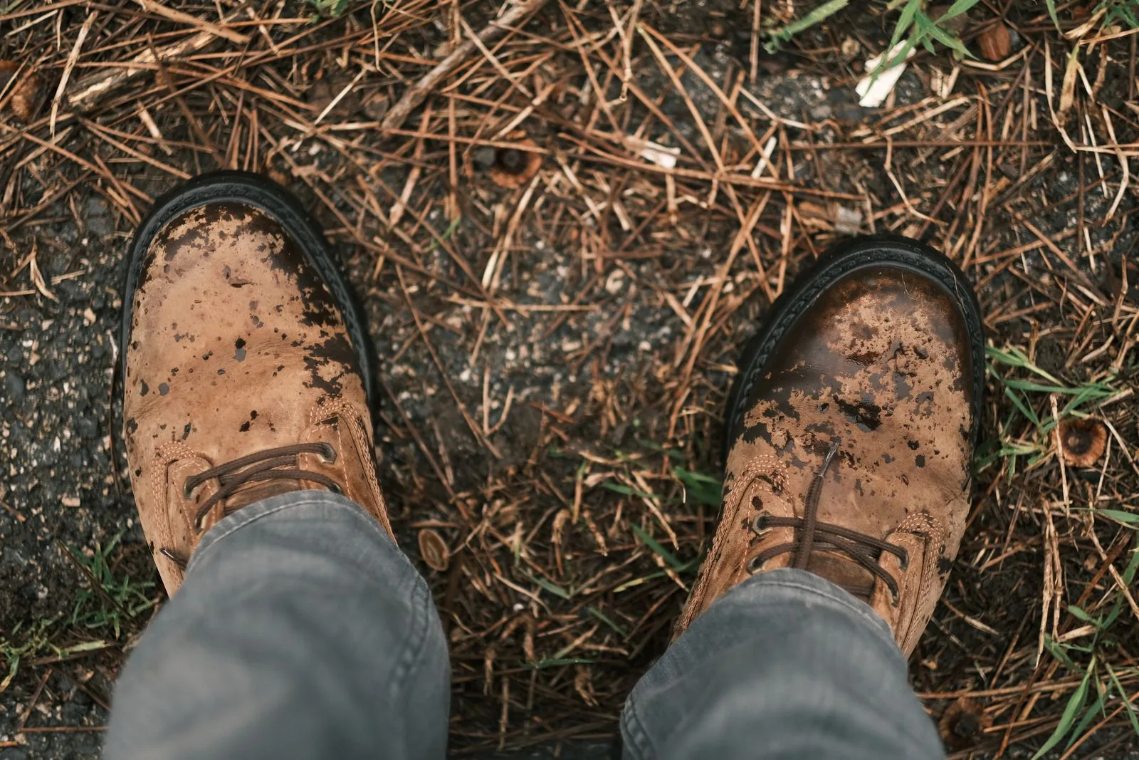 The Best Riding Boots for Beginners