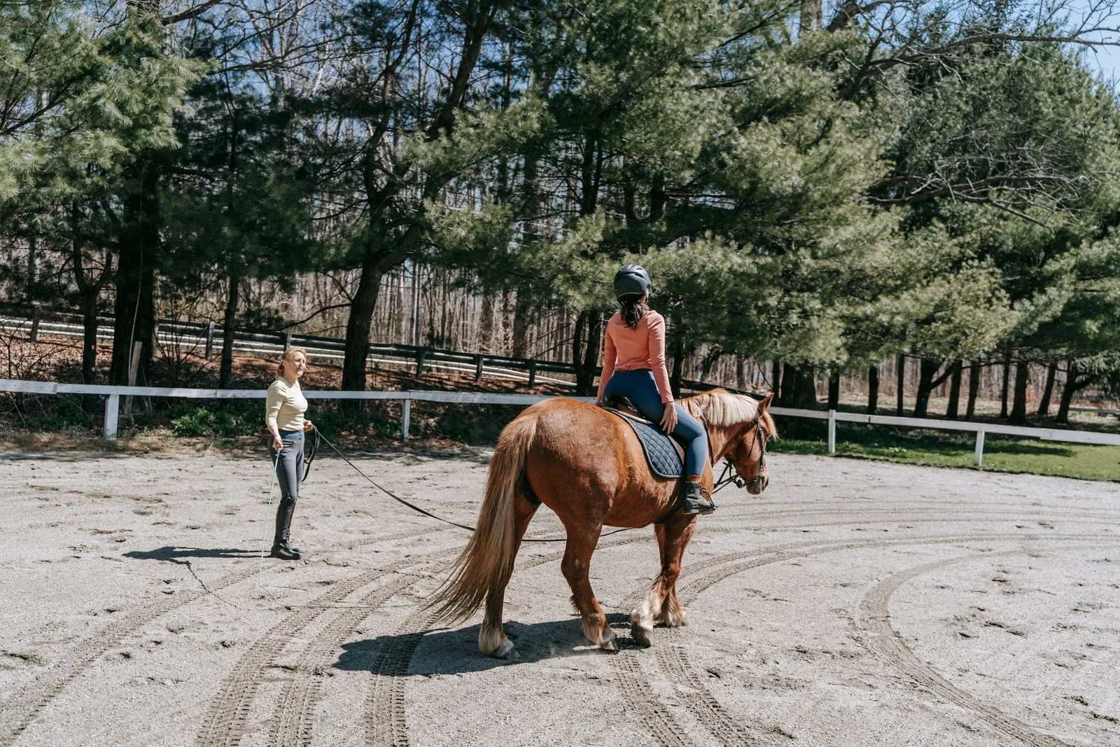 How Much Do Horse Riding Lessons Cost in the UK?
