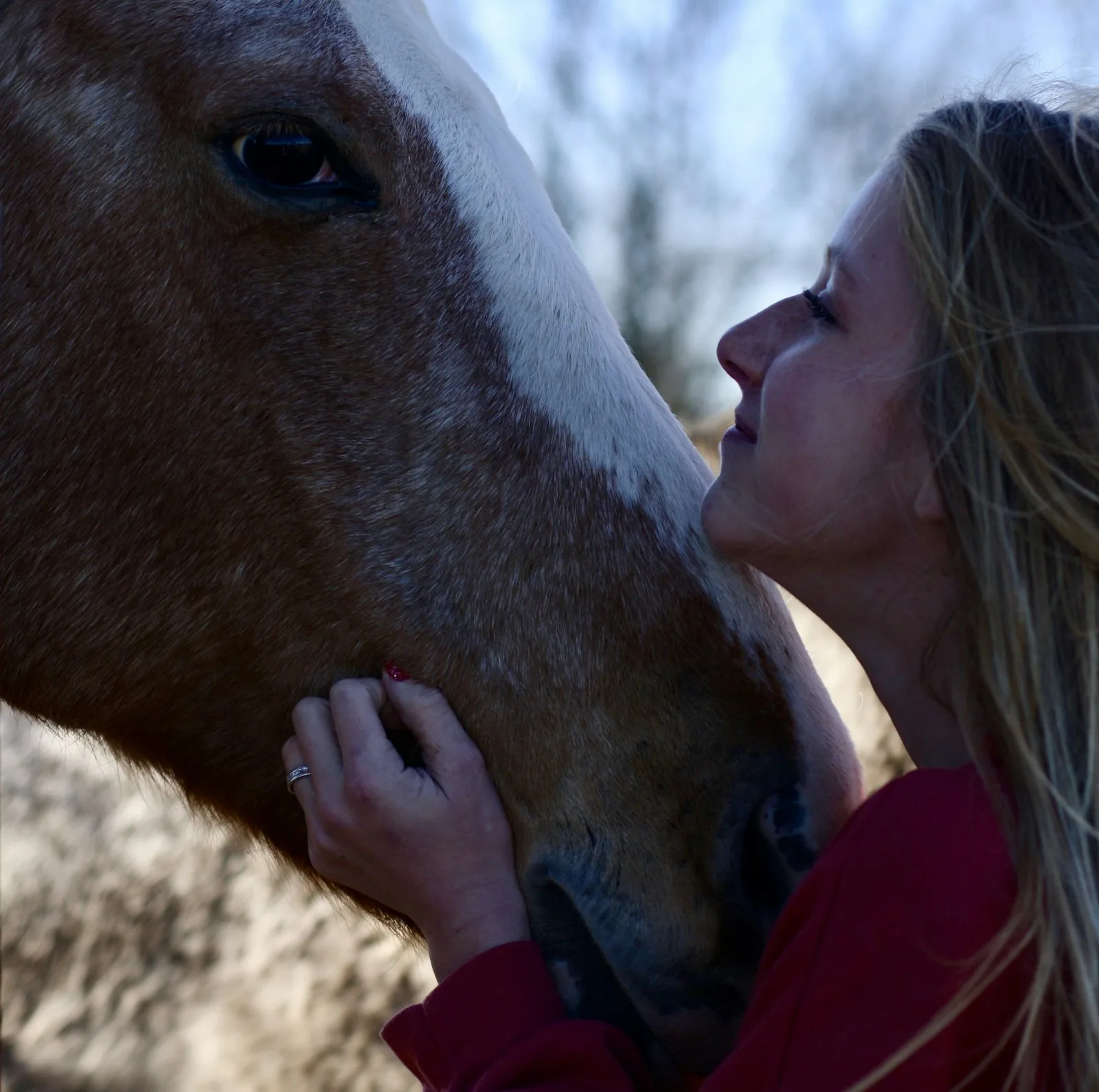 How to Start Horse Riding as a Beginner in the UK